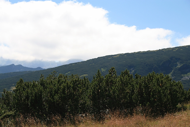 Bulgaria 2008 448